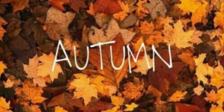 69297687_2948937305123120_7792277865696854016_n