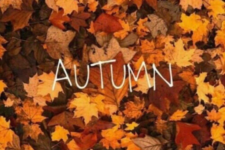 69297687_2948937305123120_7792277865696854016_n