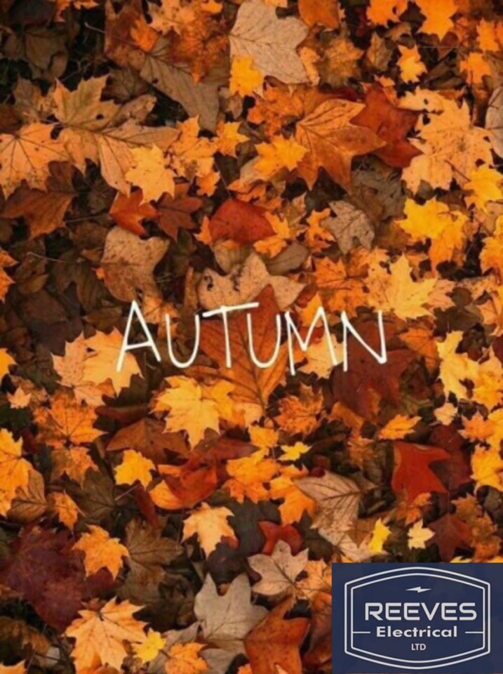 69297687_2948937305123120_7792277865696854016_n