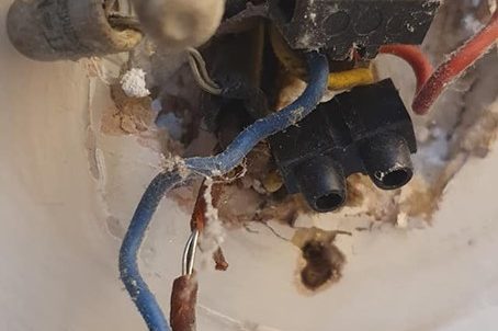 74232809_3065810753435774_7389572214376366080_n